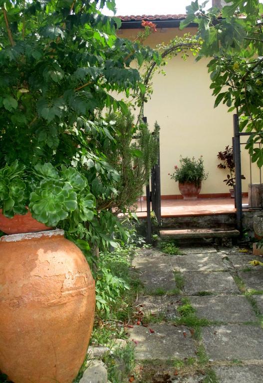 Affittacamere Damammasara Rignano sullʼArno Kültér fotó